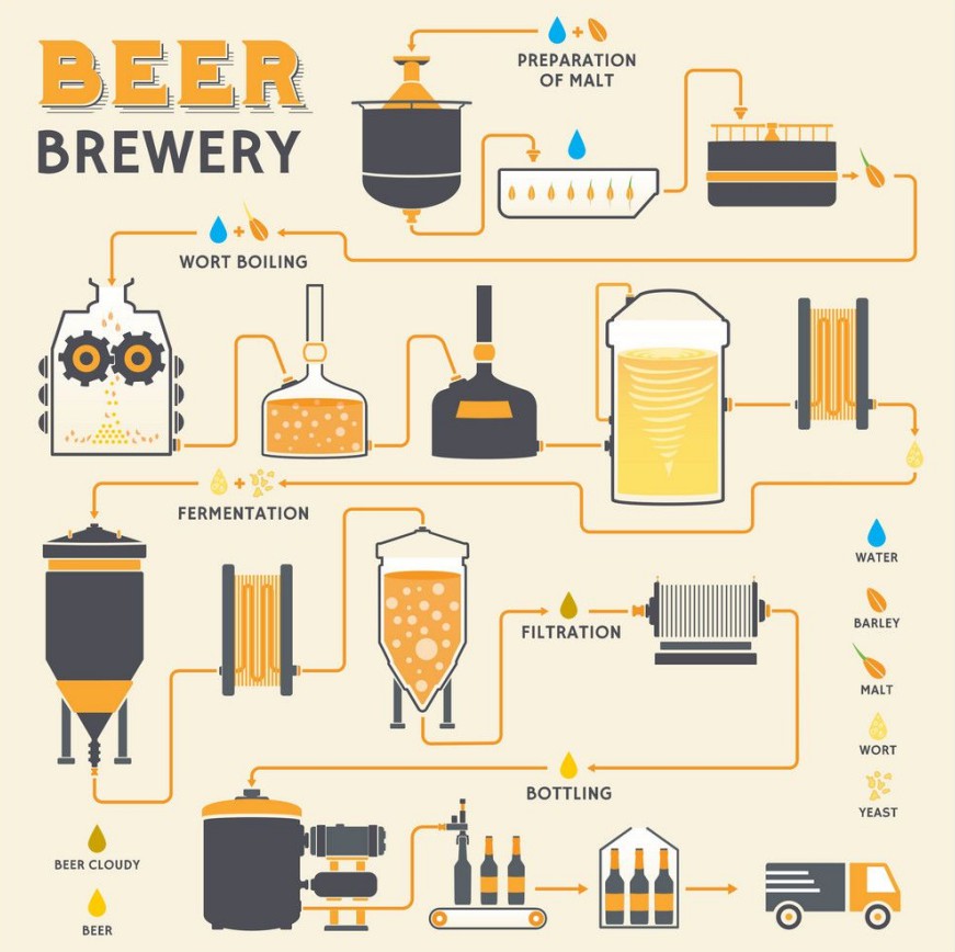 Beer Brewing Process